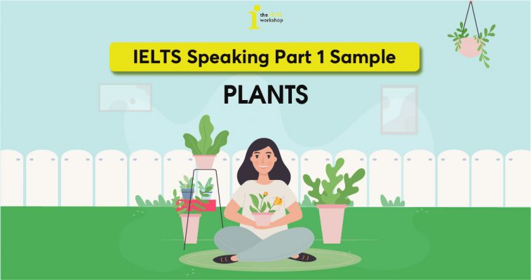 Bài mẫu và Từ vựng Chủ đề Plants IELTS Speaking Part 1