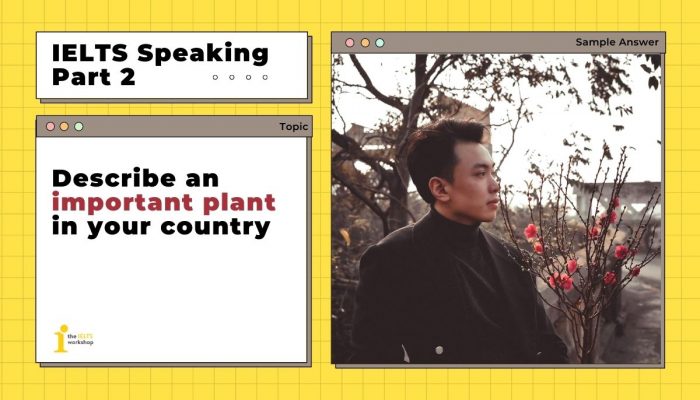 Describe an important plant in your country | IELTS Speaking Part 2