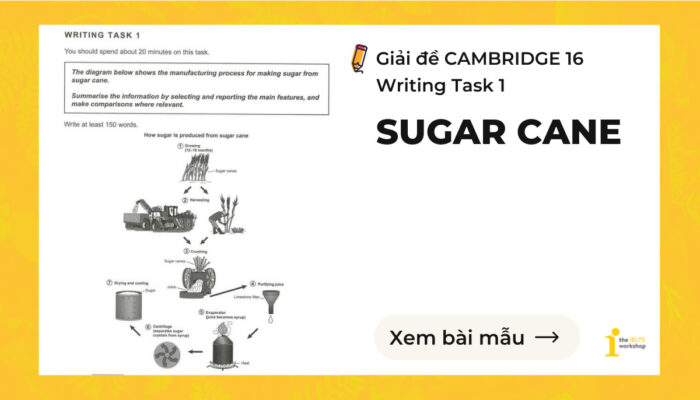 IELTS CAMBRIDGE 16 Writing Task 1 Sample: ‘Sugar Cane’
