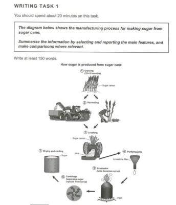 cambridge ielts 16 writing task 1 test 3