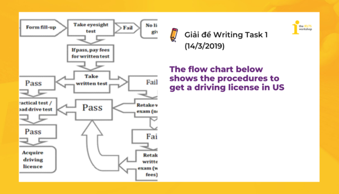 Topic: Driving License | IELTS Writing Task 1