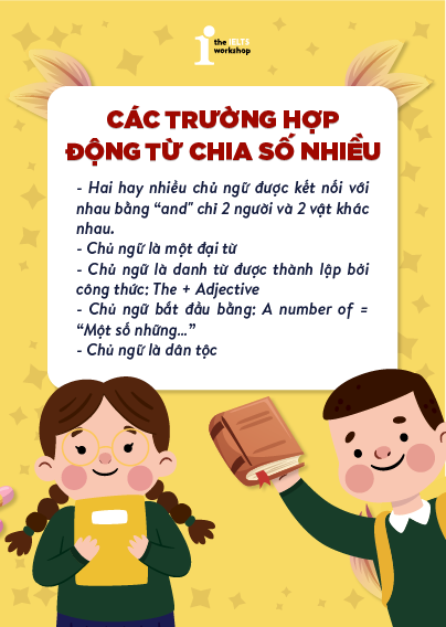 Các trường hợp chia động từ số nhiều