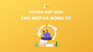 20+ nguyên tắc về sự hòa hợp giữa chủ ngữ và động từ