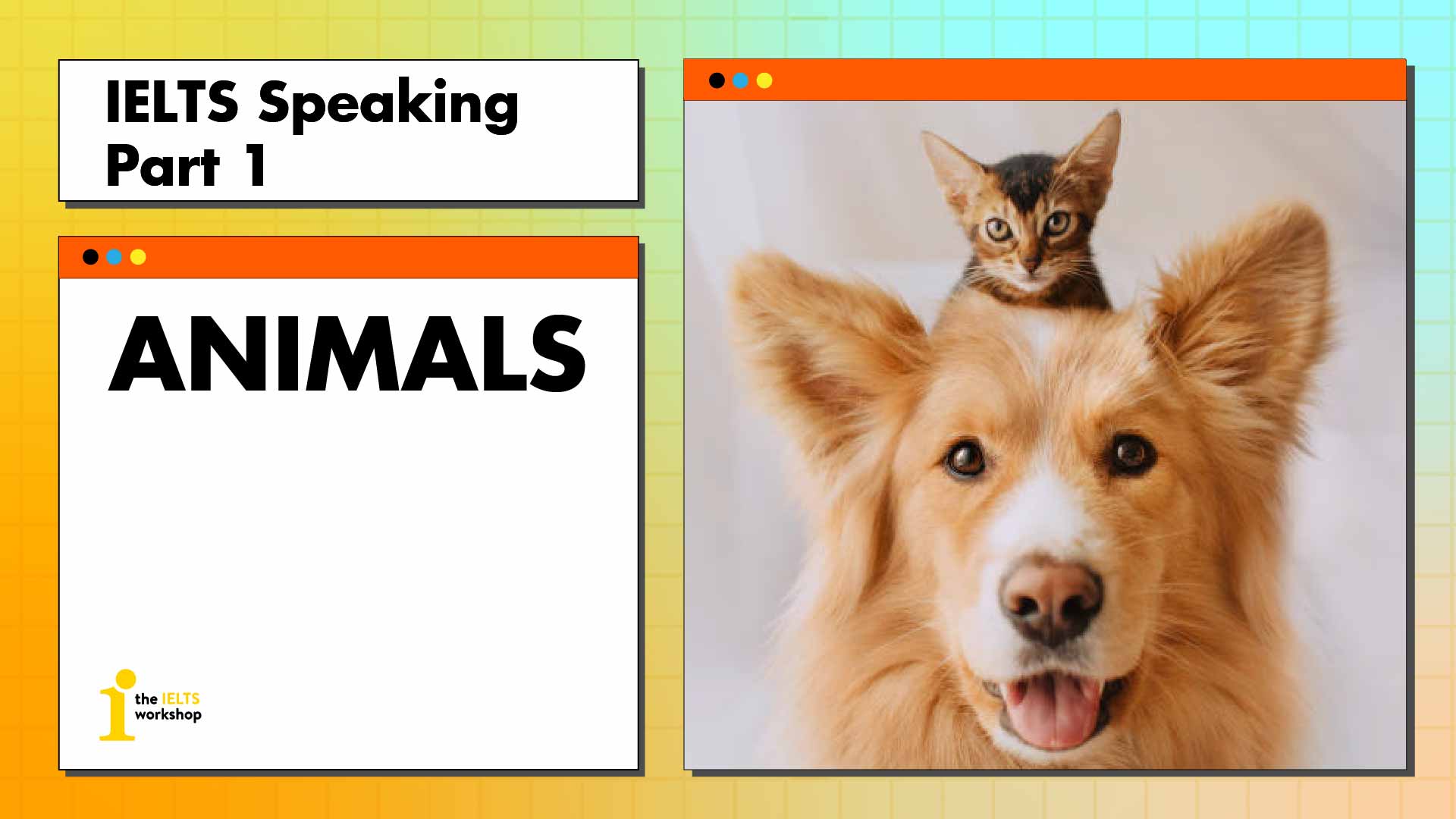 Topic: Animals | IELTS Speaking Part 1