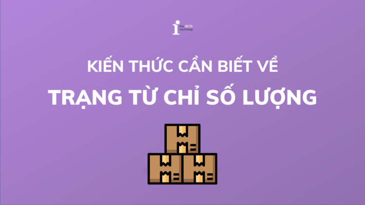 Trạng từ chỉ Số lượng (Adverbs of Quantity) trong tiếng Anh