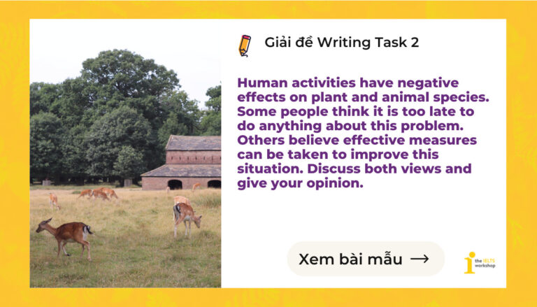 human activies have negative effects