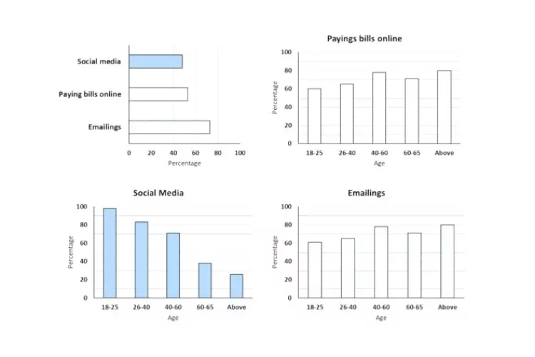 The chart shows Australian home Internet use by reasons and age groups