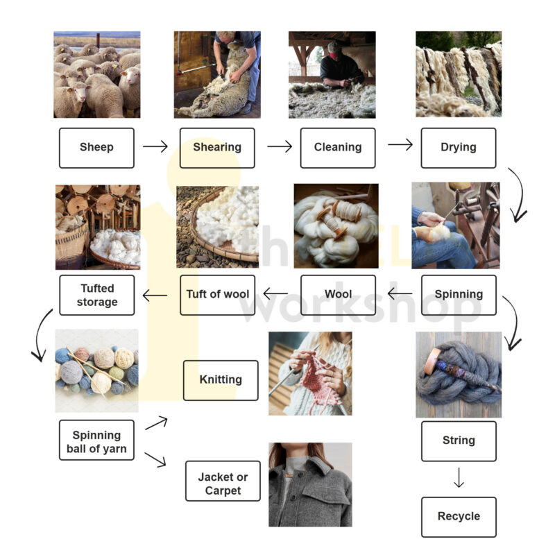 The diagram shows the different stages in the production of woolen goods