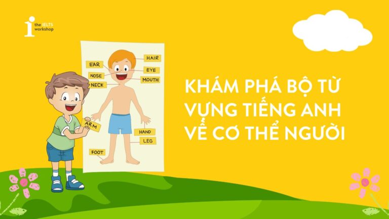 bộ từ vựng tiếng anh về cơ thể người