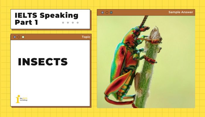 Topic: Insects IELTS Speaking Part 1