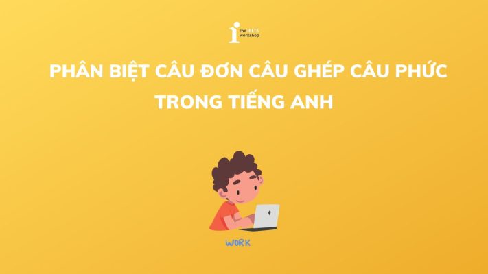 Phân biệt câu đơn câu ghép câu phức và áp dụng vào IELTS Reading