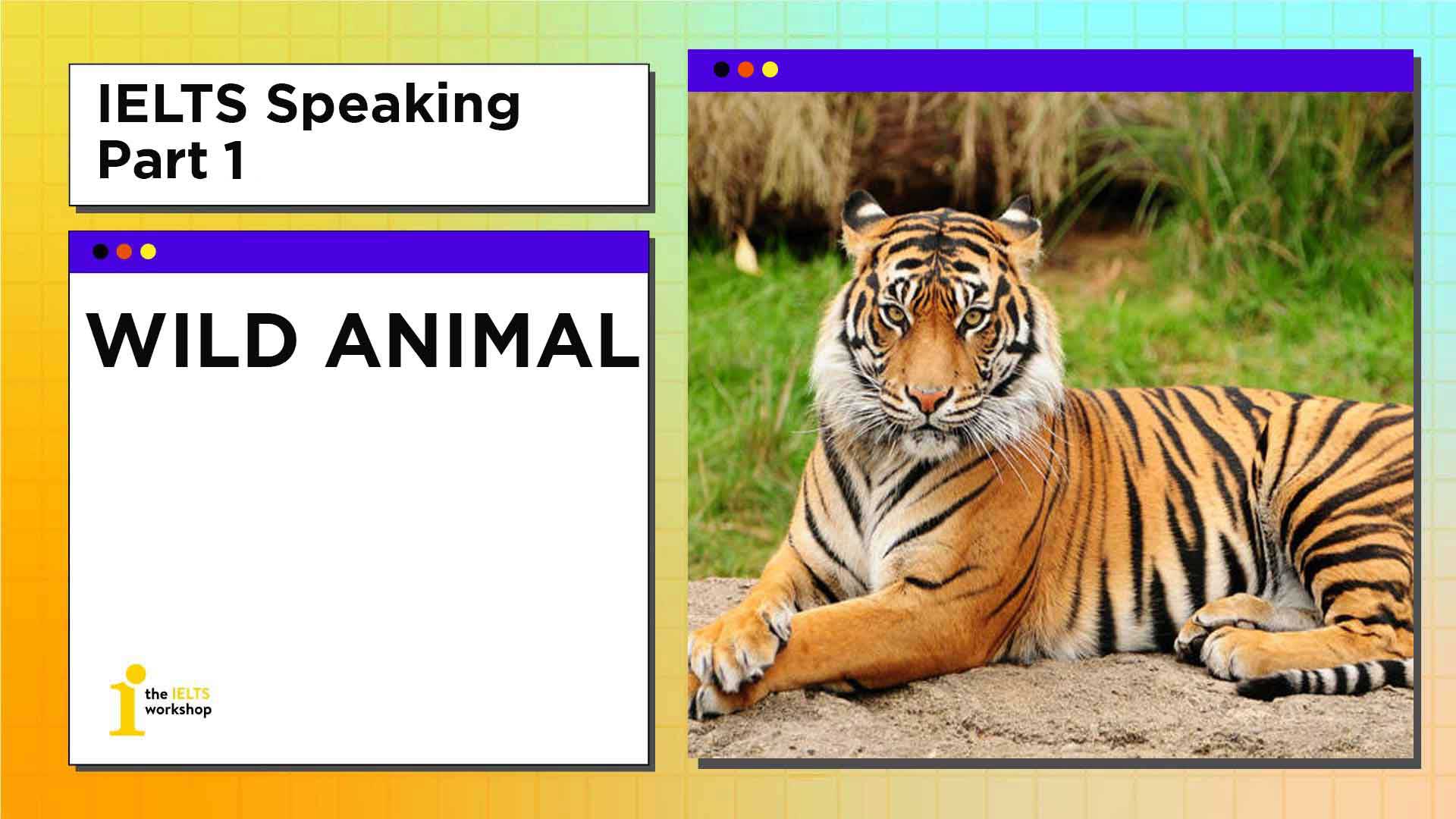 ielts speaking part 1 wild animal