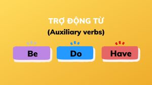 Trợ động từ (Auxiliary verbs) là gì? Tổng hợp kiến thức A-Z