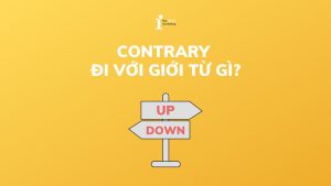 Contrary đi với giới từ gì? Cách dùng Contrary chuẩn xác nhất