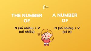 Phân biệt THE NUMBER OF và A NUMBER OF chỉ với 10 phút