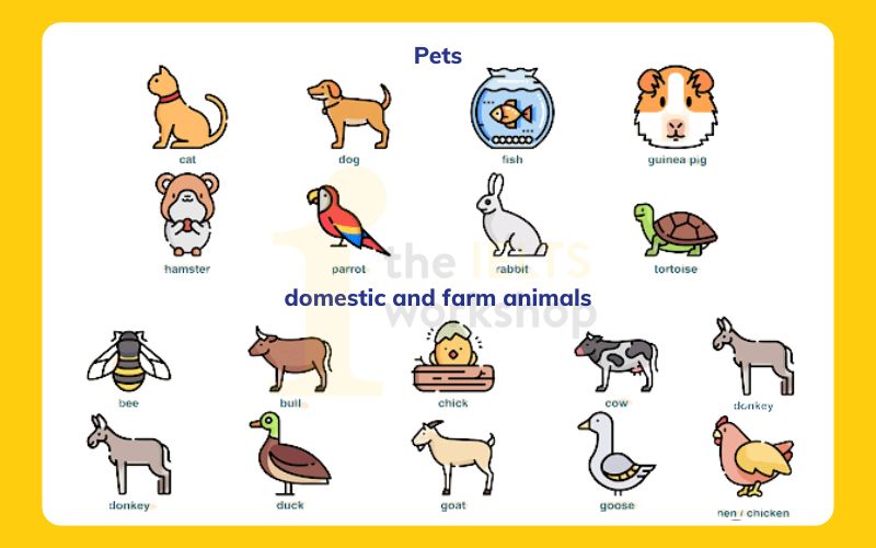 từ vựng chủ đề động vật