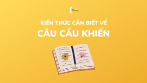 Câu cầu khiến trong tiếng Anh: Cách dùng và bài tập chi tiết