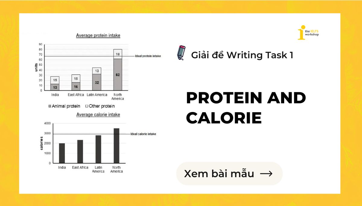 protein and calorie ielts writing task 1