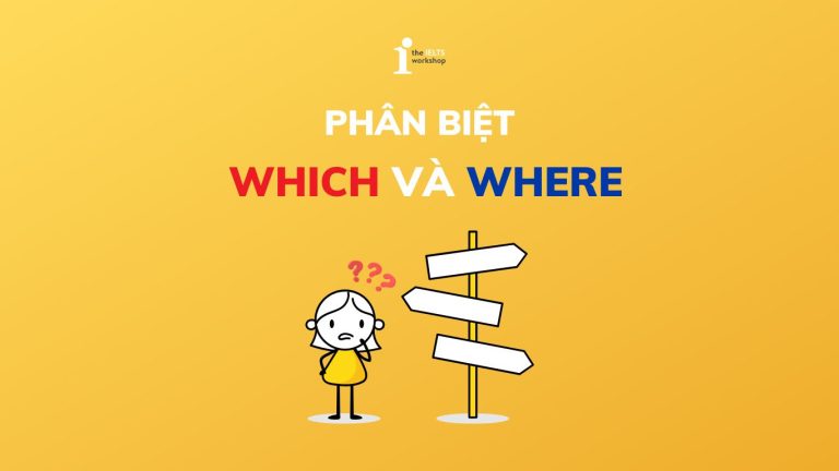 phân biệt which và where