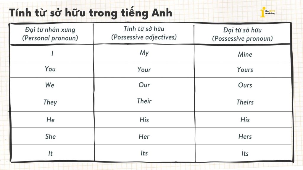 Phân loại tính từ sở hữu trong tiếng Anh