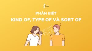 Cách phân biệt Kind of, Type of và Sort of đơn giản nhất