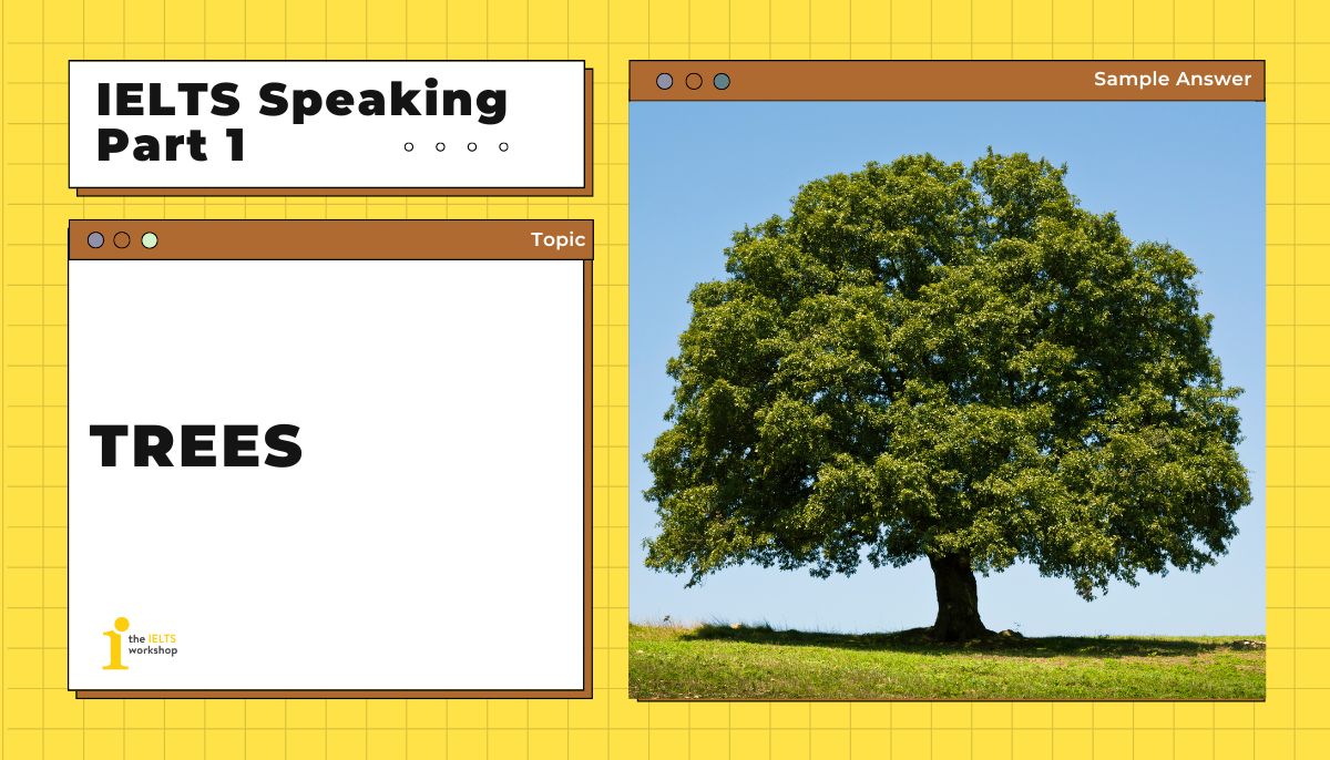 Trees IELTS Speaking Part 1