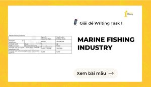 Giải đề IELTS Writing Task 1: Marine fishing industry