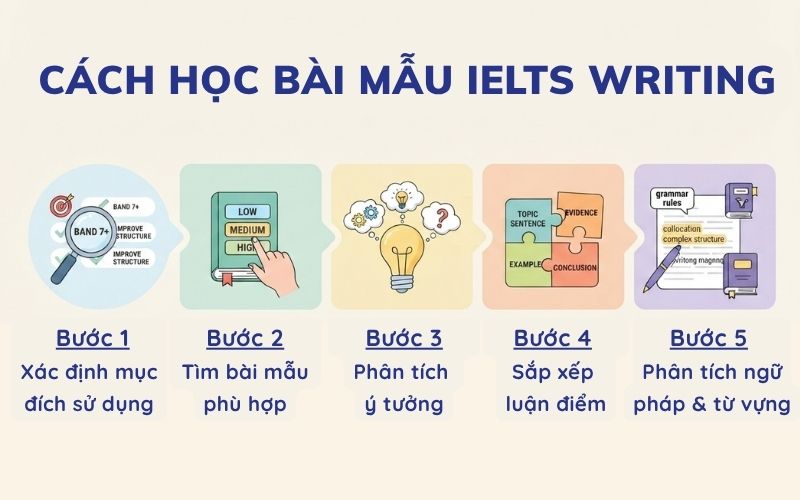 Cách học bài mẫu IELTS Writing