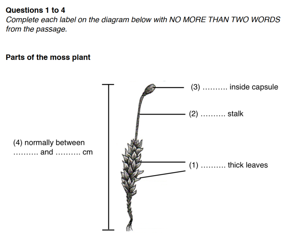 Dạng bài Flow-chart/ Diagram Completion