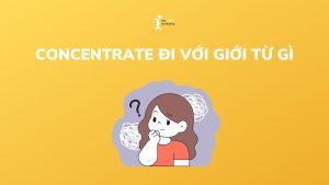 Concentrate đi với giới từ gì? Cách dùng cấu trúc Concentrate