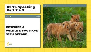 Describe a wildlife you have seen before | IELTS Speaking Part 2+3