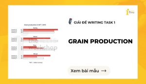 Giải đề IELTS Writing Task 1: Grain production