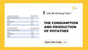 Giải đề IELTS Writing Task 1: The consumption and production of potatoes