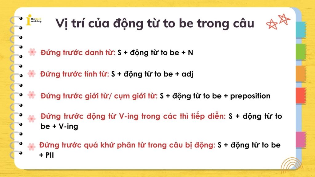 Vị trí của động từ to be trong câu