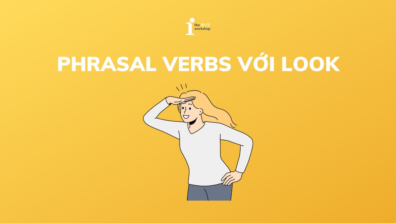 phrasal verbs với look