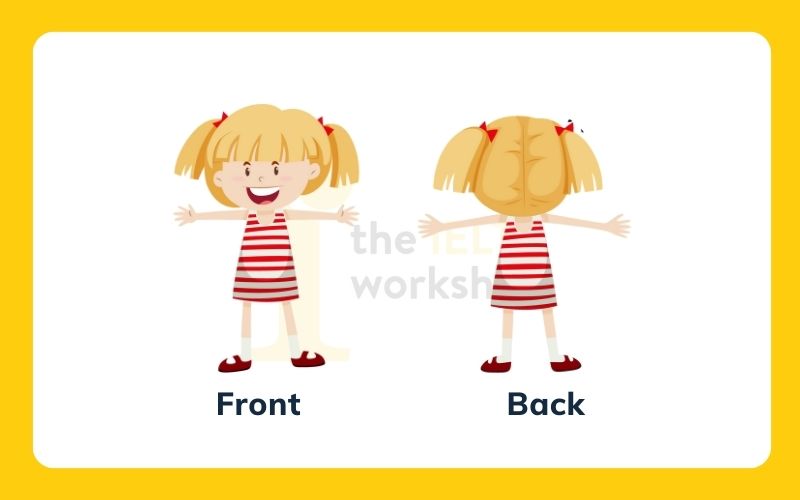 Các cặp tính từ trái nghĩa trong tiếng Anh Back Front