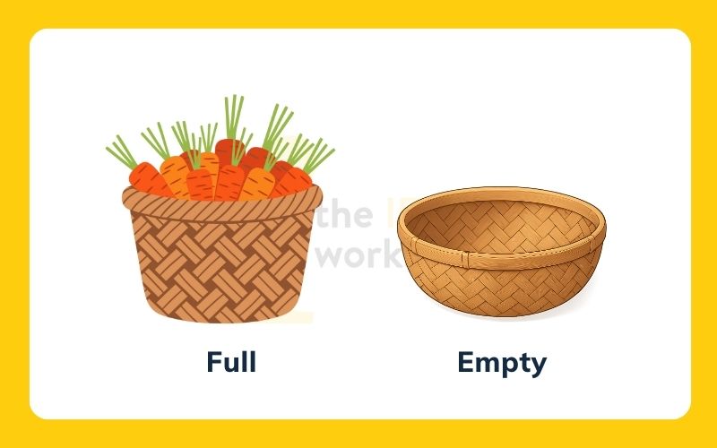 Các cặp tính từ trái nghĩa trong tiếng Anh Full Empty