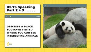 Describe a place you have visited where you can see interesting animals | IELTS Speaking Part 2+3