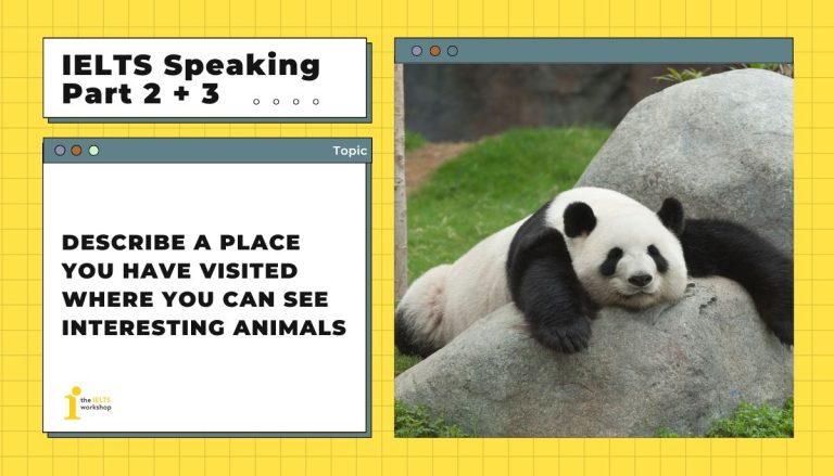 Describe a place you have visited where you can see interesting animals theme