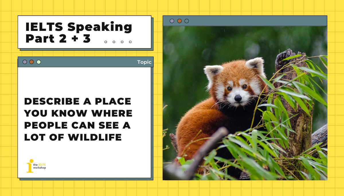 Describe a place you know where people can see a lot of wildlife theme