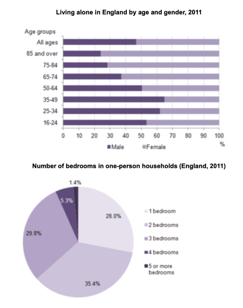 Mixed Charts dạng Pie Chart và Bar Chart