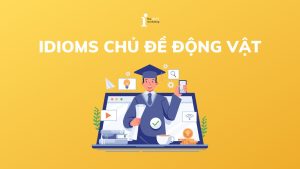 20+ Idioms chủ đề động vật thông dụng trong tiếng Anh