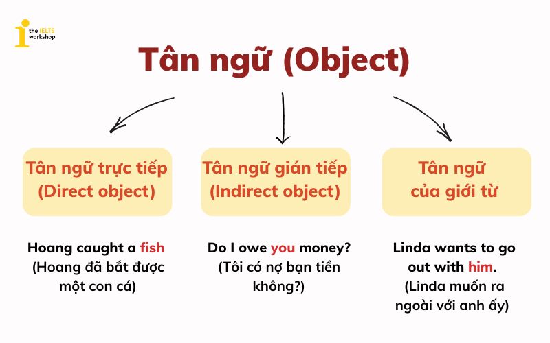 3 dạng tân ngữ trong tiếng anh