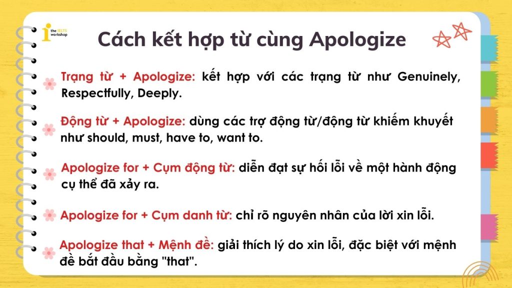 Một số cách kết hợp từ cùng Apologize