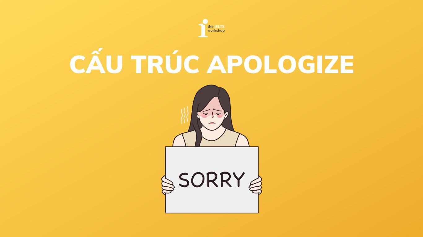 cấu trúc apologize