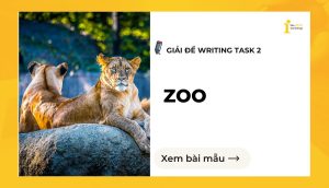 Giải đề IELTS Writing Task 2 : Zoo
