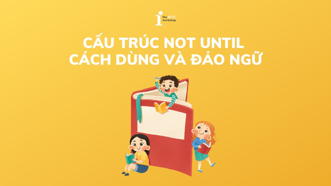 cấu trúc not until