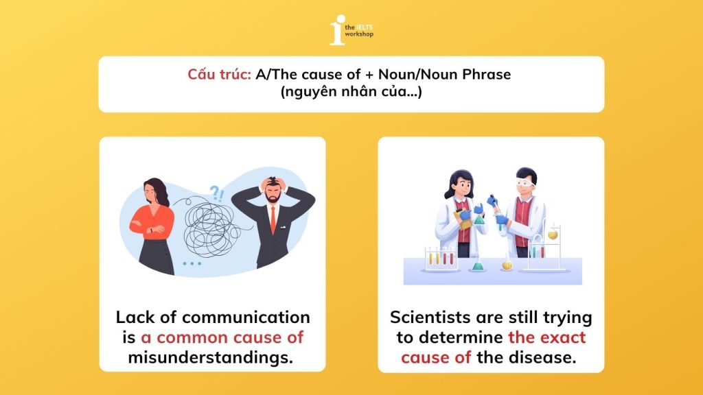 cấu trúc cause