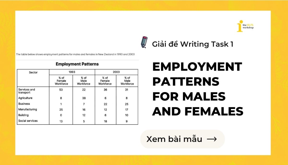 Employment patterns for males and females