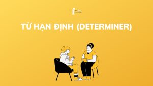 Giải mã Từ hạn định (Determiner): Phân loại & cách dùng